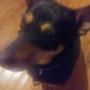 Meet your Posher, Jill